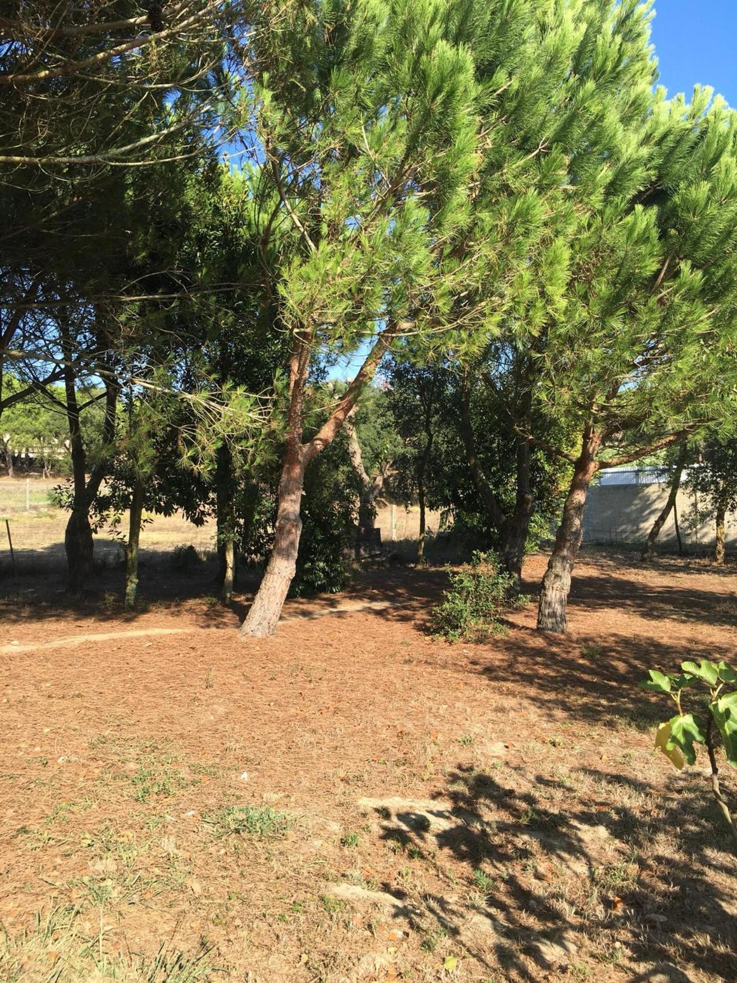 Quinta Turki Malika Villa